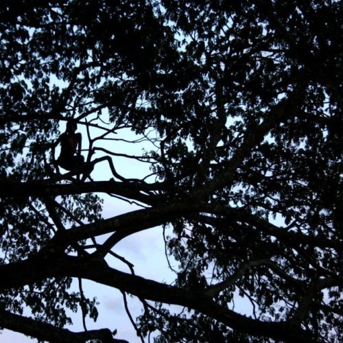 Darkness and light 01 CR Lynette Wallworth